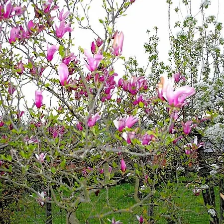 Bed & Breakfast A Casa Di Gianna Rieti