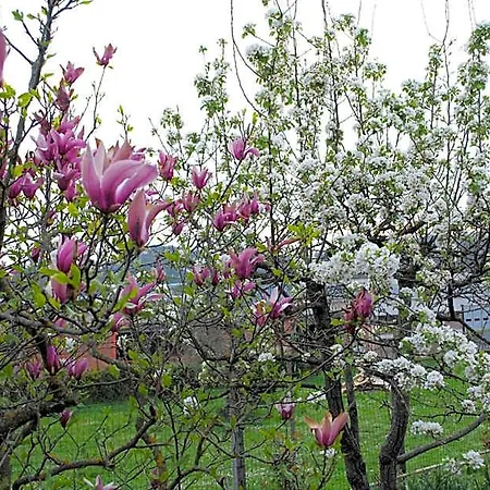 A Casa Di Gianna Bed and breakfast 3*