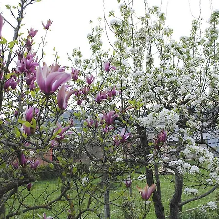 Bed & Breakfast A Casa Di Gianna Rieti