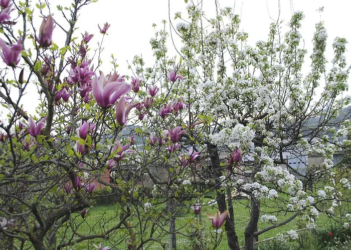 Frühstückspension A Casa Di Gianna Rieti